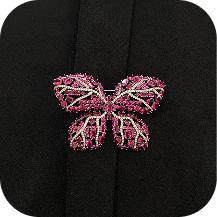 Birds & Animal Broach